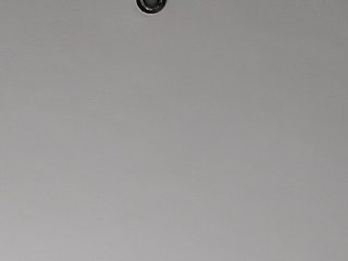 _LittleSammy