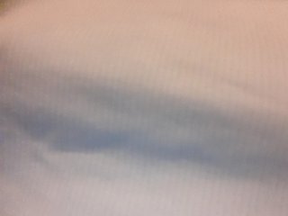 _LittleSammy