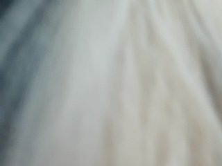 _LittleSammy