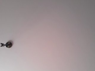 _LittleSammy