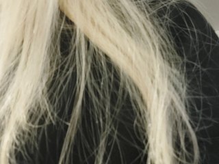 _LittleSammy Porn Show