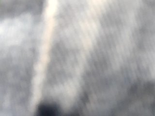 _LittleSammy