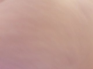 _LittleSammy