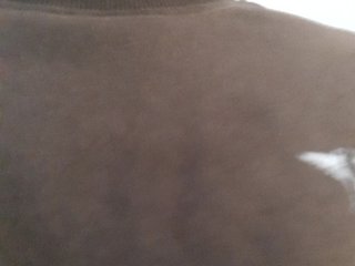 _LittleSammy Porn Show