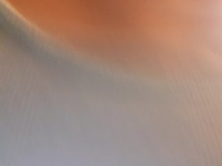 _LittleSammy