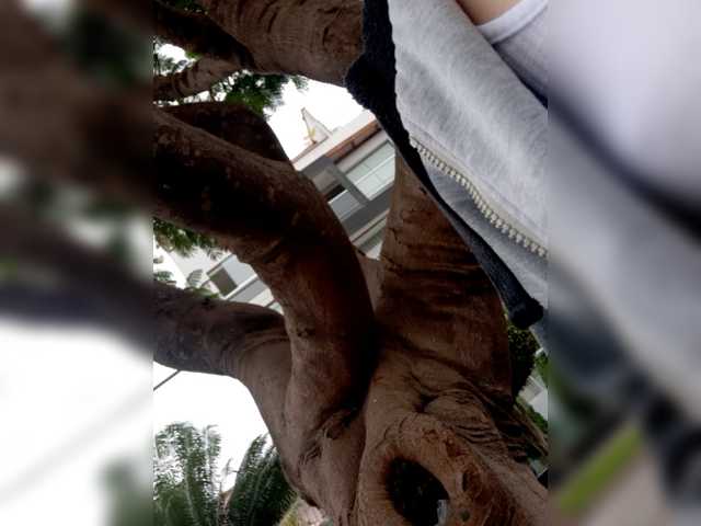 LittleSammy live cam on BongaCams