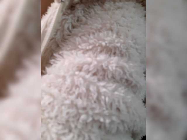 _LittleSammy