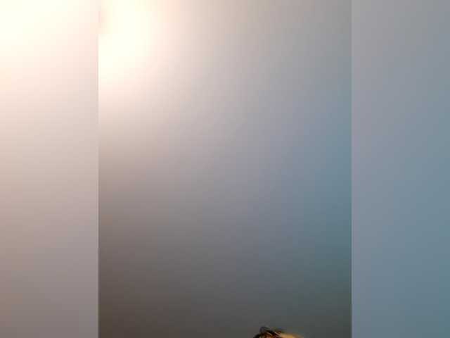 LittleSammy