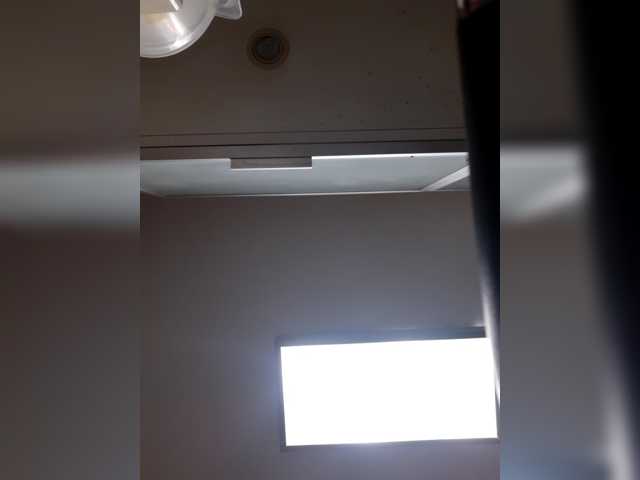 LittleSammy live cam on BongaCams
