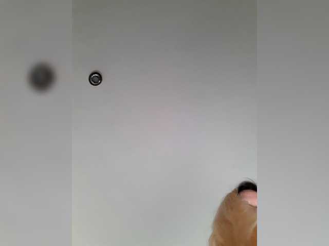 _LittleSammy