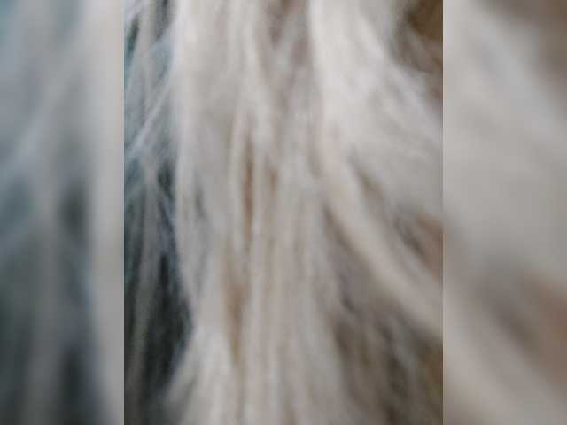 _LittleSammy