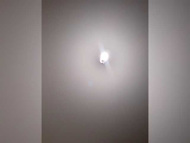 _LittleSammy