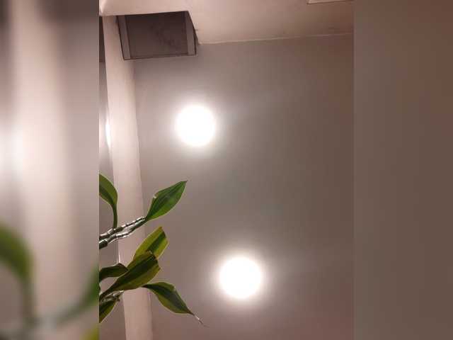 LittleSammy live cam on BongaCams