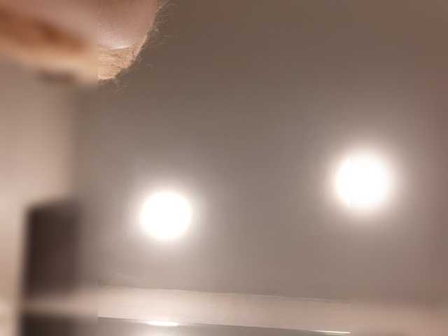 _LittleSammy