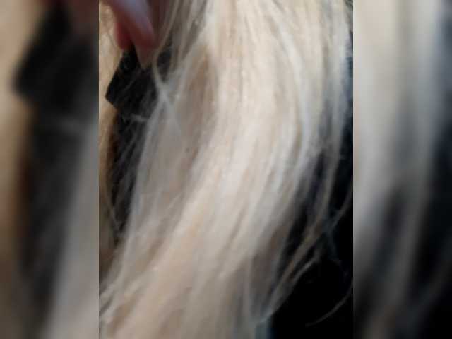 _LittleSammy