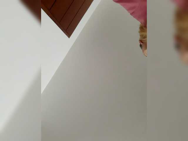 LittleSammy live webcam show
