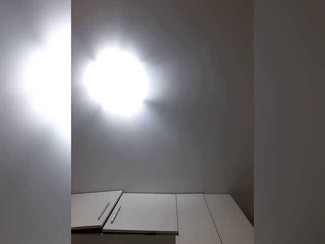 _LittleSammy