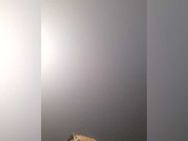 LittleSammy