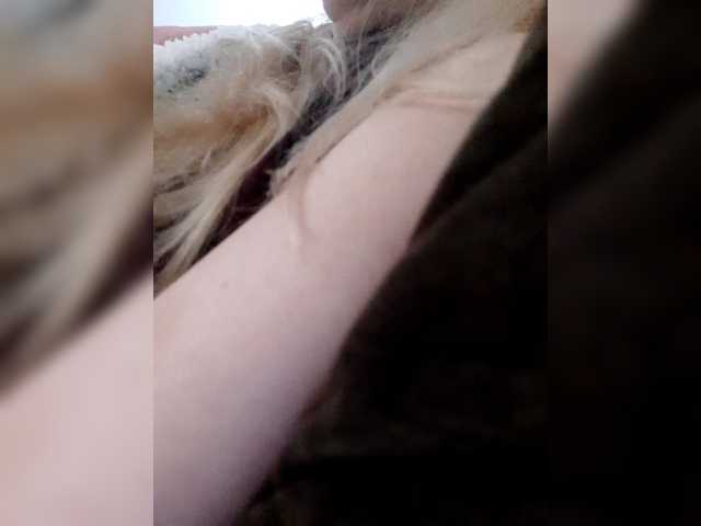 LittleSammy