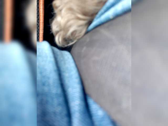 _LittleSammy