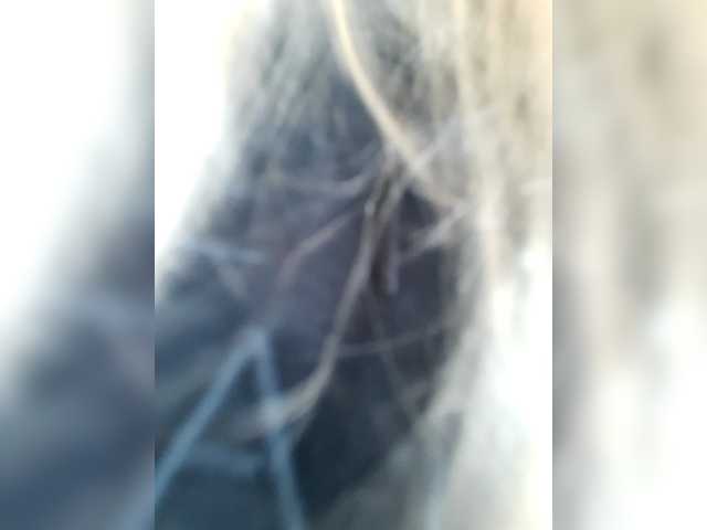 _LittleSammy