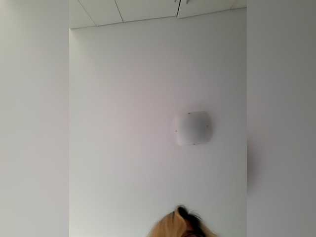 _LittleSammy