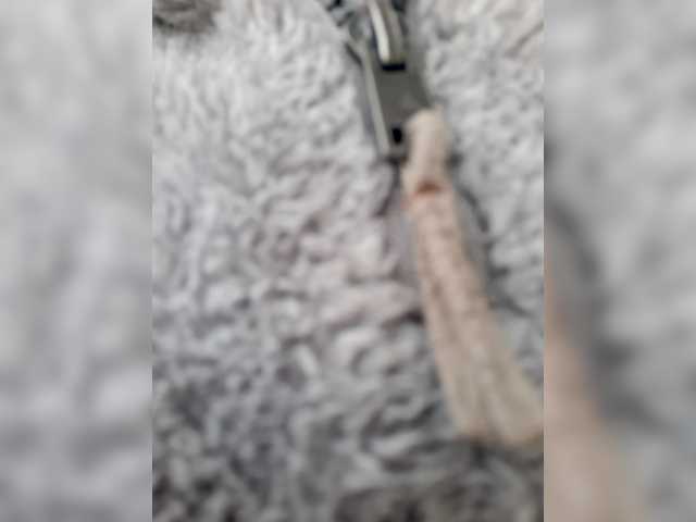 _LittleSammy