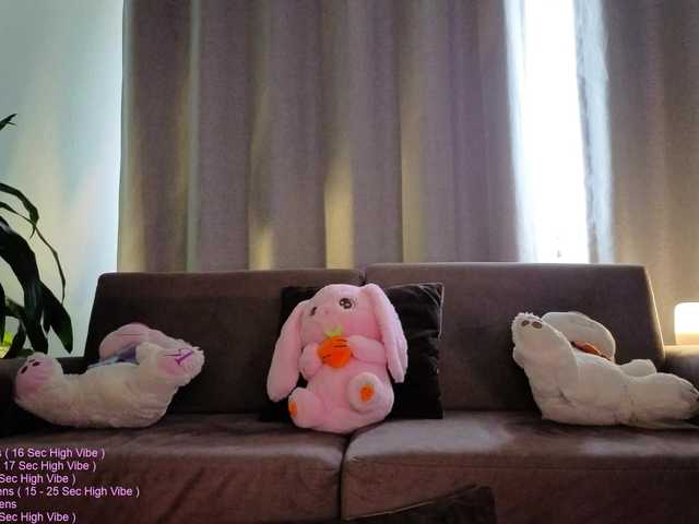 _LittleSammy webcam
