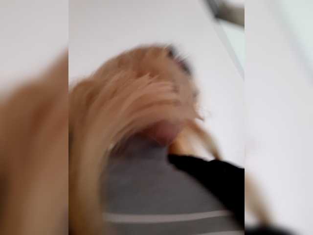 _LittleSammy