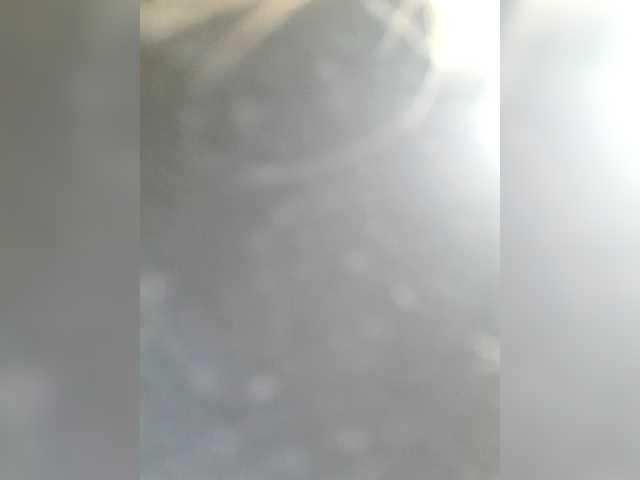LittleSammy