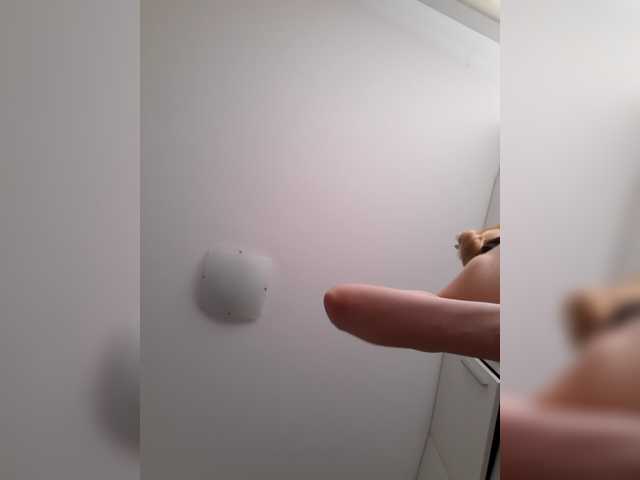 _LittleSammy