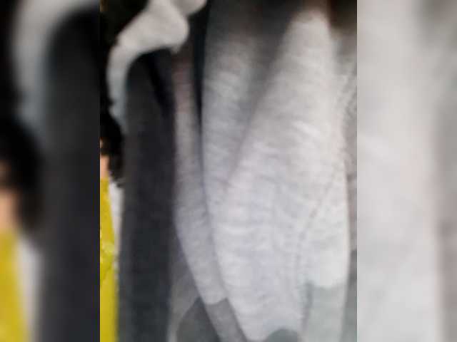 _LittleSammy live cam preview