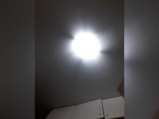 _LittleSammy