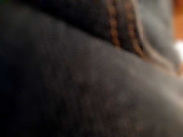 _LittleSammy
