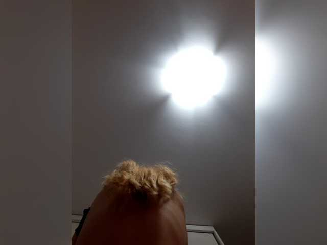 LittleSammy