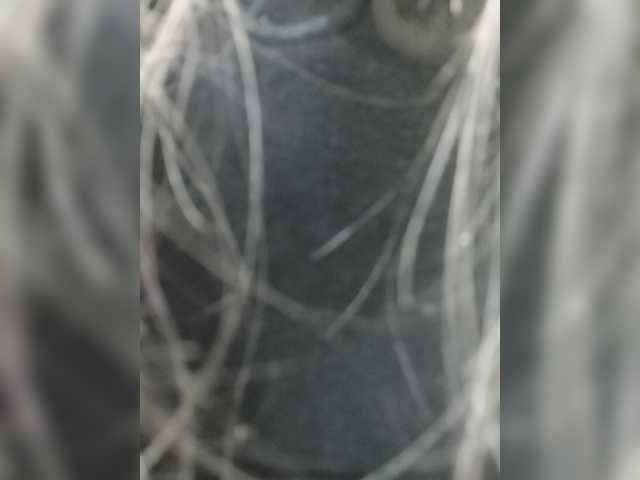 littlesammy online