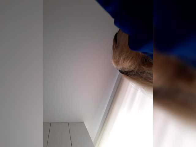 LittleSammy