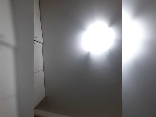LittleSammy, en directo ahora en BongaCams