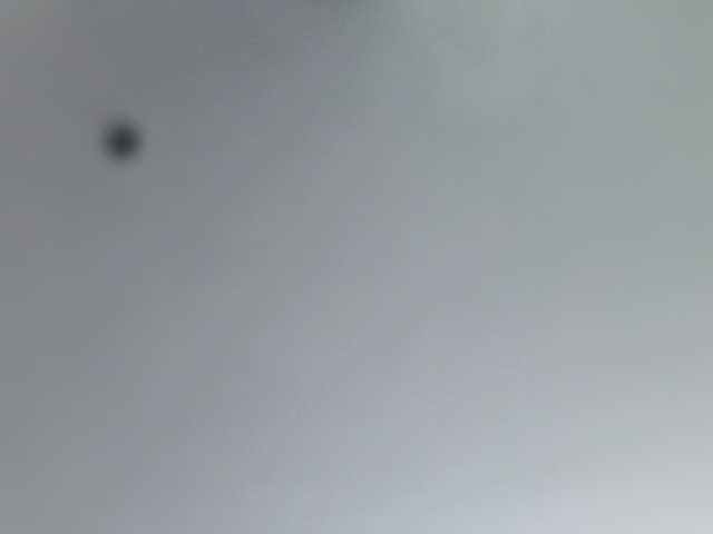 _LittleSammy