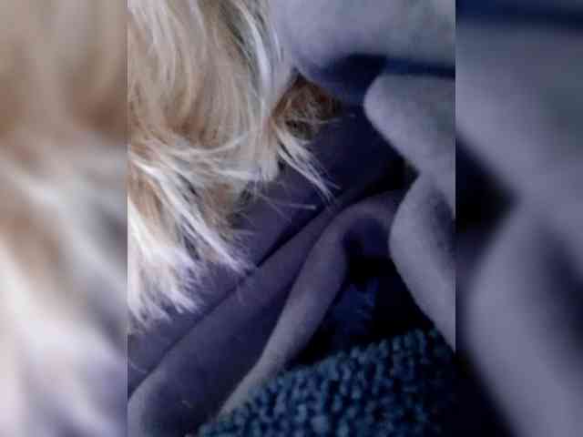 Modelo: _LittleSammy