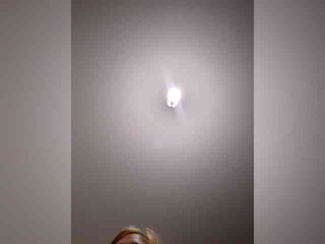 _LittleSammy
