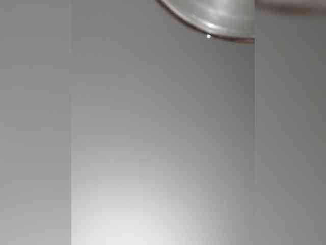 _LittleSammy webcam