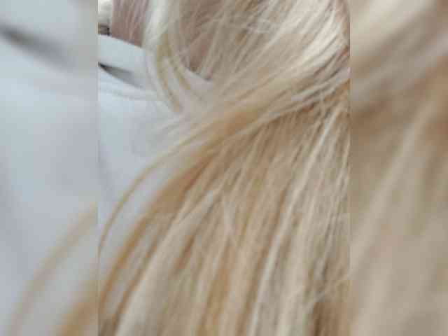 _LittleSammy webcam