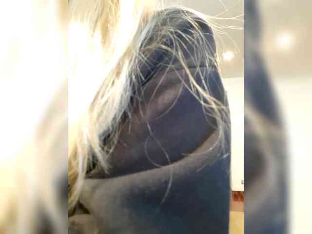 _LittleSammy webcam