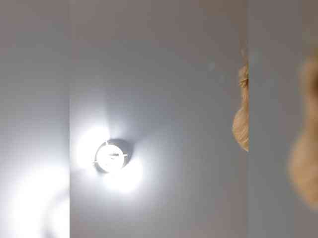 _LittleSammy webcam