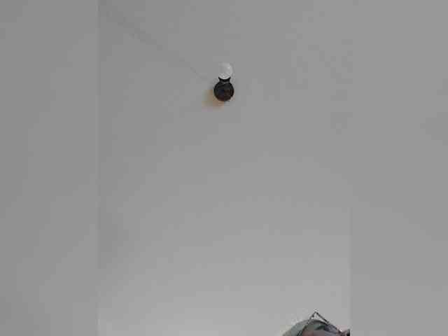 _LittleSammy webcam
