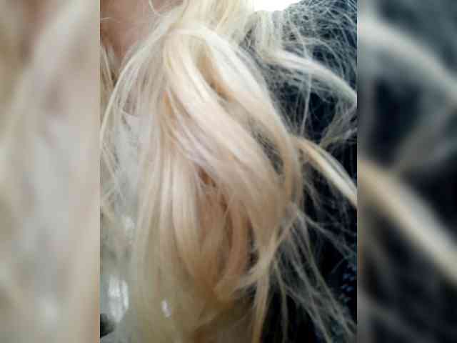 _LittleSammy webcam