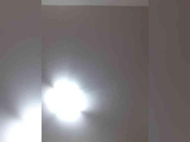 _LittleSammy webcam