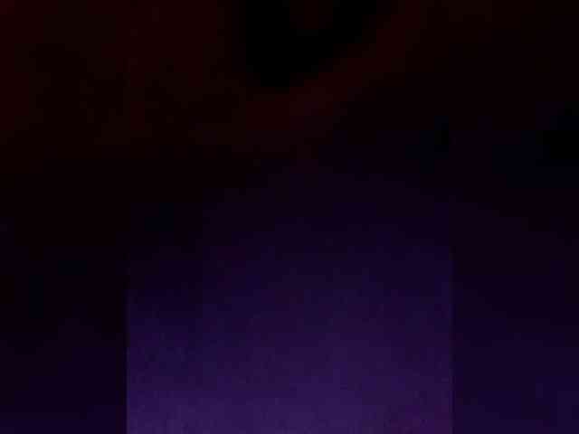 _LittleSammy webcam