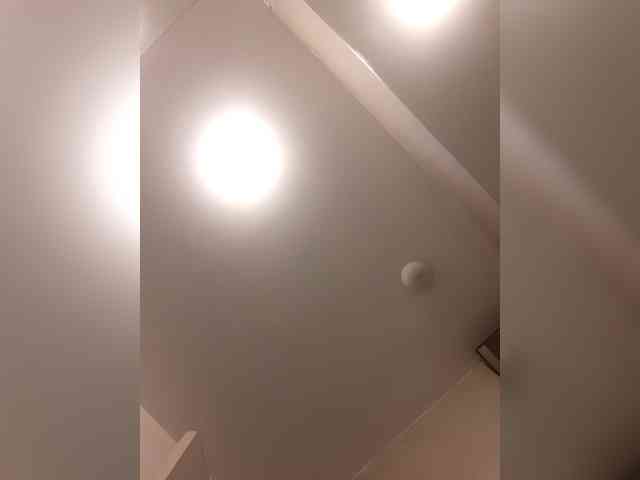 _LittleSammy webcam